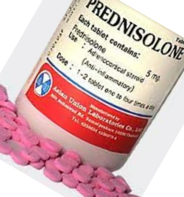 Prednisolon Tabletter 2 5 Mg