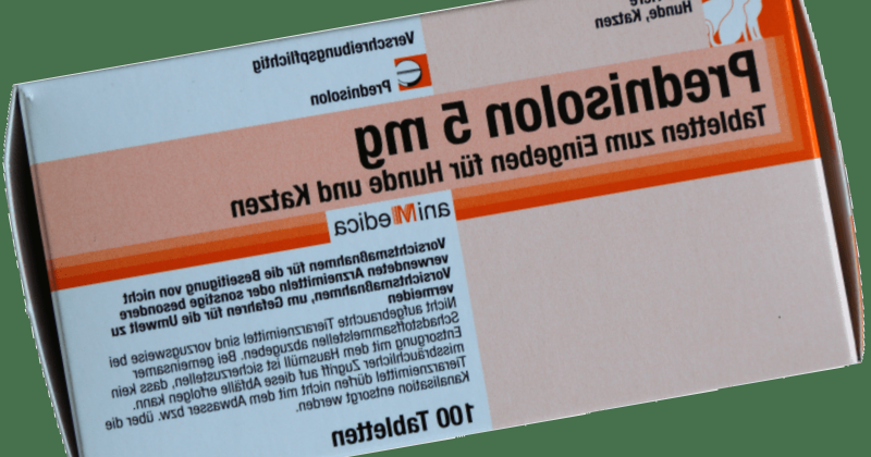 prednisolon för hund