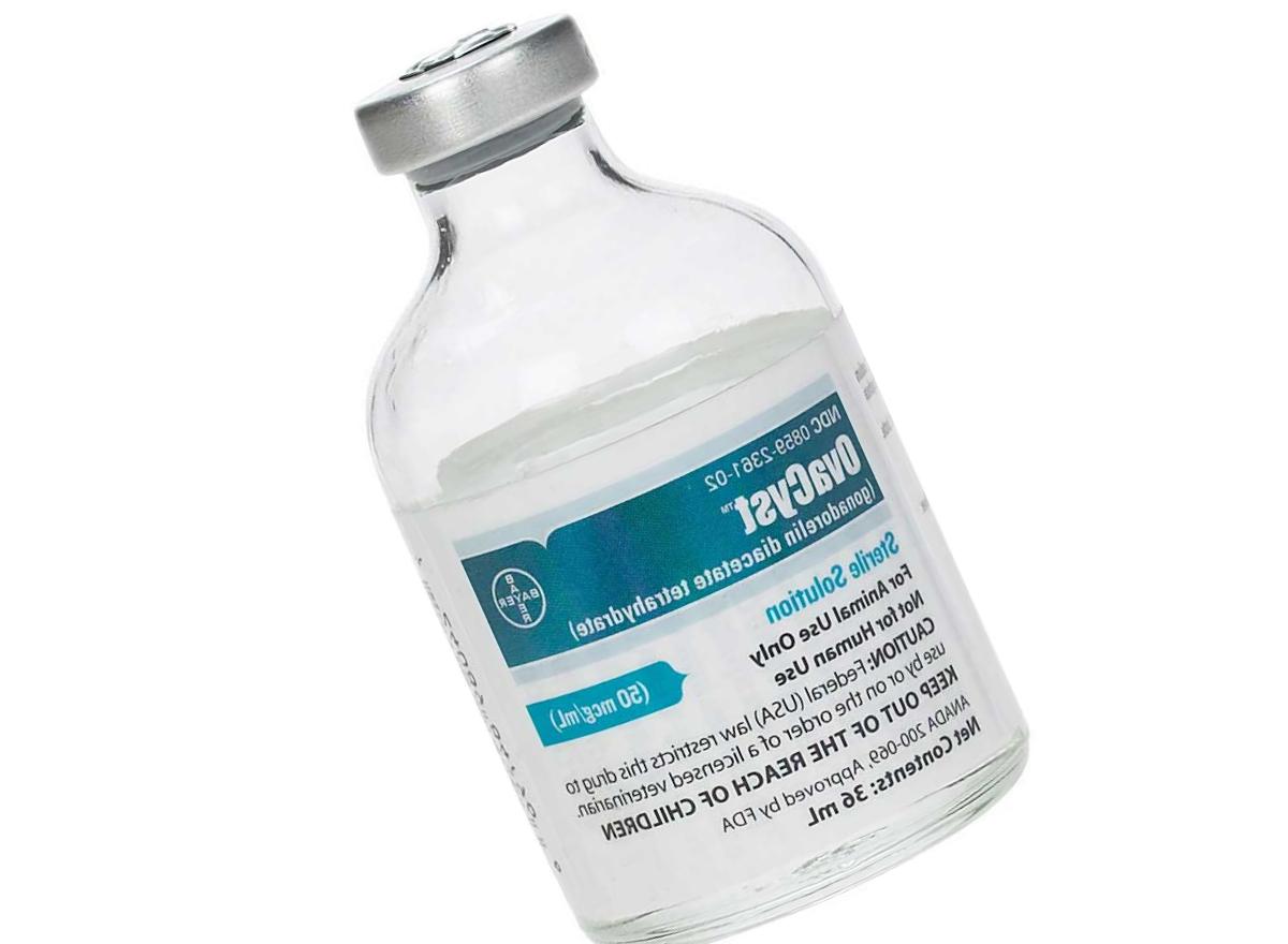Clomiphene var du kan köpa
