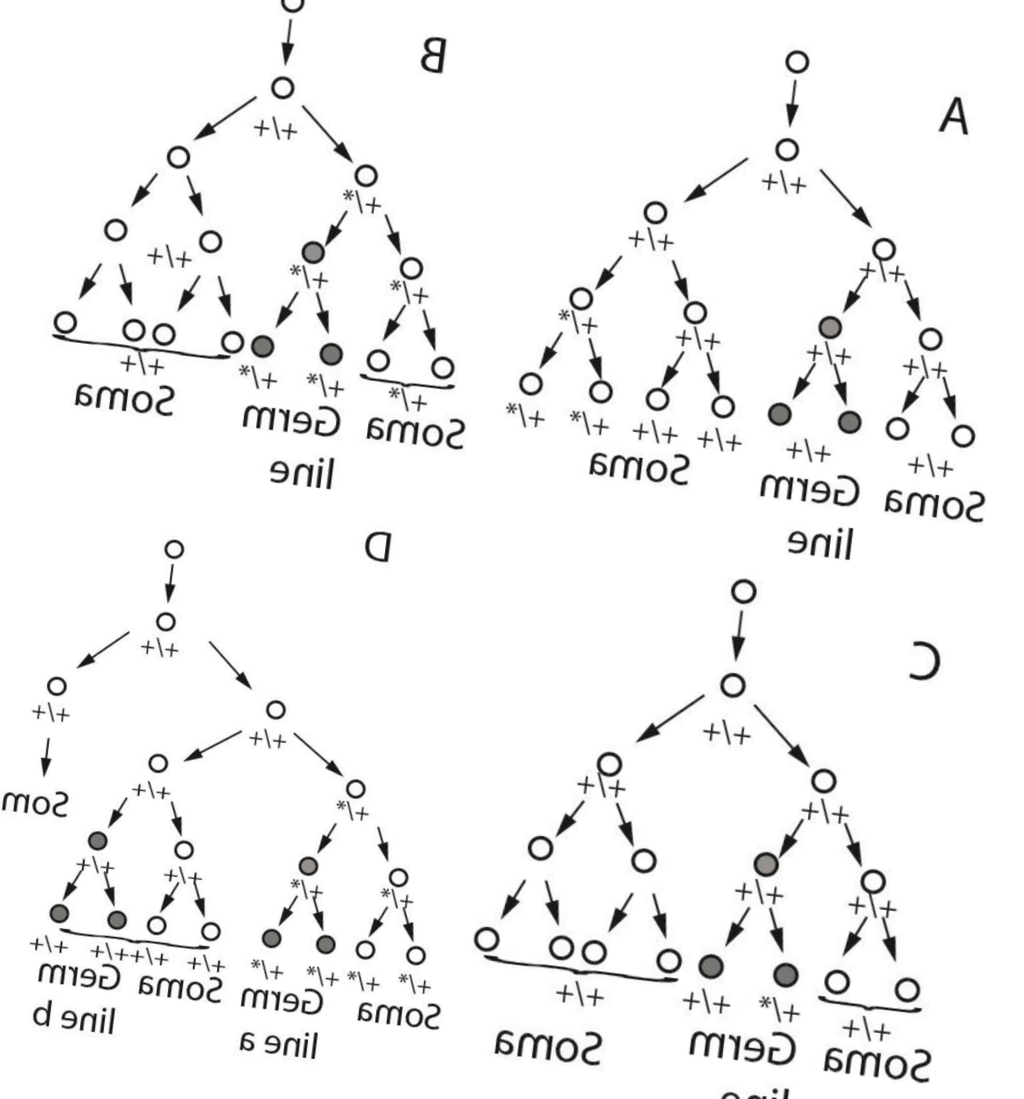 Beställa carisoprodol generisk