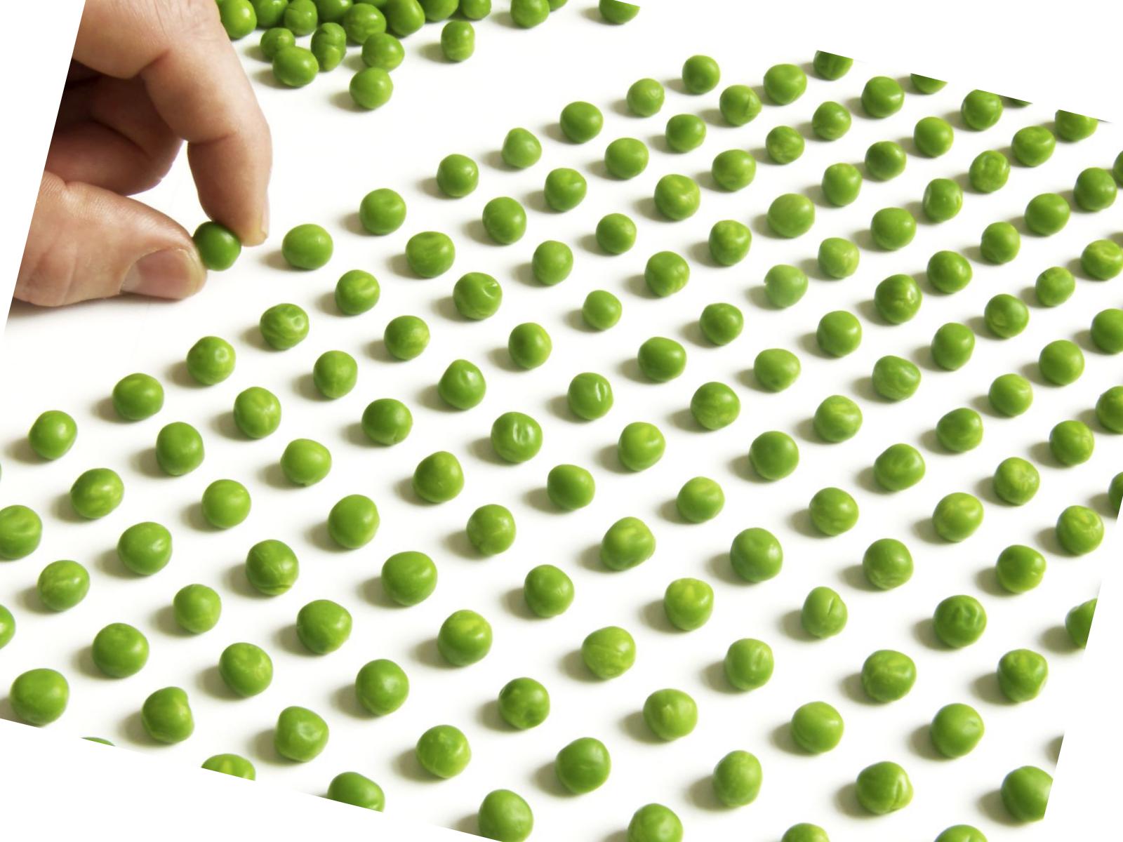 Zoloft 100mg ocd